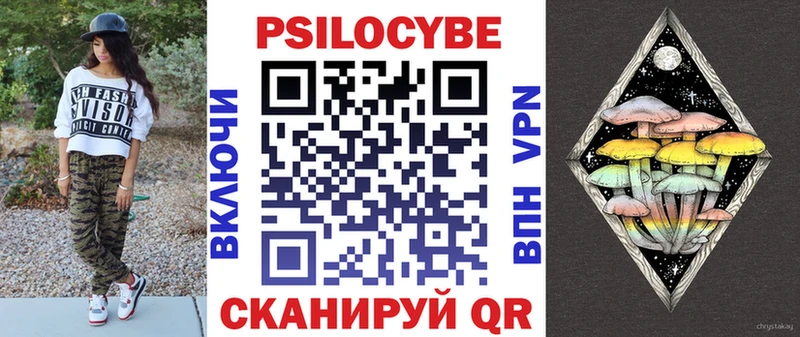 Псилоцибиновые грибы Psilocybe  где продают наркотики  Мамадыш 